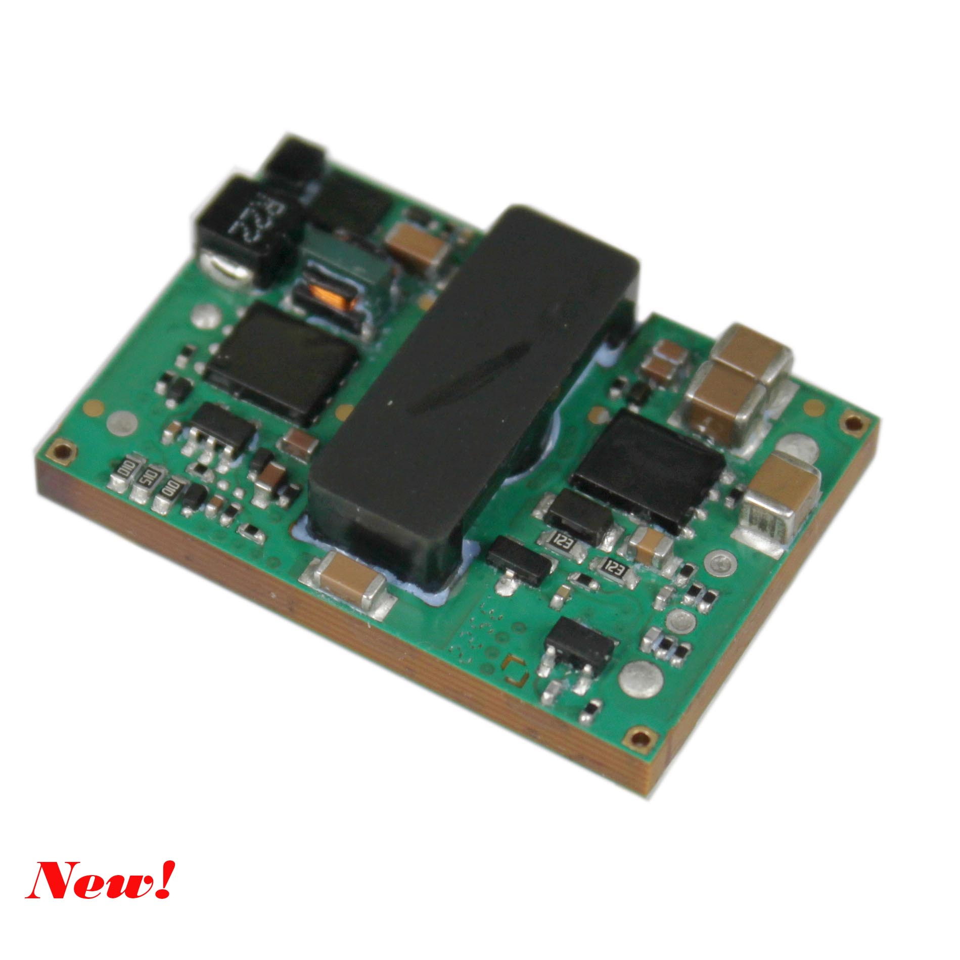 WSD75-100W Sixteenth Brick Railway High Isolation Converter