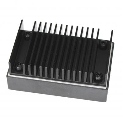RAQS50-24B24 DC-DC Converter